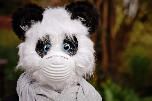 SilverPlay Kasyno Wsparcie